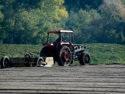 KRUS: Mniej wypadków przy pracy rolniczej