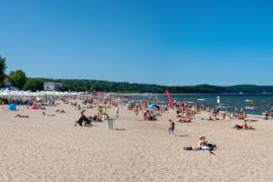 SN orzeknie, czy kierowca z Monciaka może leczyć się na wolności