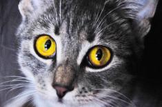 SN: Prawo odkupu nie spowodowało bezpodstawnego wzbogacenia