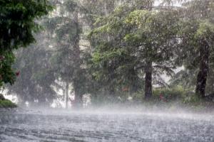 Dofinansowanie w zwalczaniu plagi komarów dla podtopionych gmin