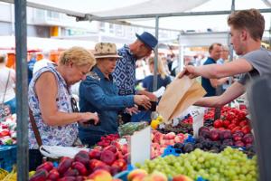 WSA: Tylko decyzja albo miejscowy plan może lokować targ
