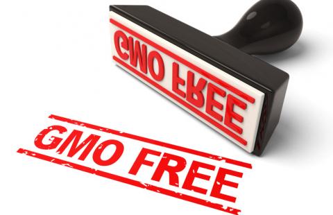 Senat też za znakowaniem żywności "bez GMO"