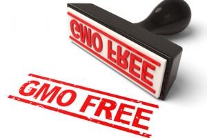 Rząd konsultuje znaki "wolne od GMO" 