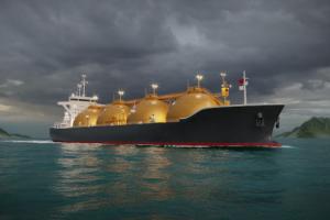 Armator będzie musiał znać datę urodzenia pasażera