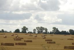 WSA: Dzierżawienie pola od gminy nie wystarcza do wygaszenia mandatu