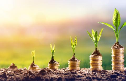 NFZ podzielił 855 mln zł, najwięcej trafi do szpitali