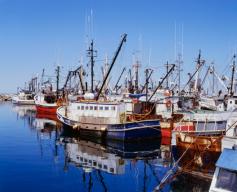 Zmiana przepisów o pracy na statkach rybackich bez poprawek Senatu