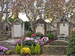 Zasady kremacji zwłok wymagają pilnego uregulowania w przepisach