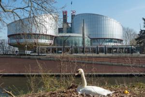 Strasburg: RPO poprze spółkę kwestionującą orzekanie "dublerów" w TK