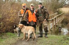 Za roznoszenie ASF niższa kara, niż za utrudnianie polowania