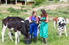 SN: Weterynarz odbierająca zwierzęta uniewinniona od zarzutu naruszenia etyki