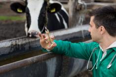 NSA wyjaśni, czy organizacja jest stroną w postępowaniu o odebranie zwierzęcia właścicielowi