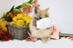 W czwartek będą nowe rządowe zalecenia na święta w związku z koronawirusem