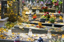 WSA: Gmino, wolnoć Tomku, ale nie na cmentarzu komunalnym