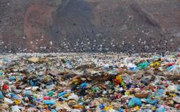 RPO apeluje o wsparcie dla gmin w usuwaniu nielegalnych odpadów