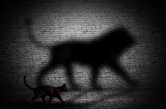 Pseudonim jest chroniony prawem, a przydomek nie?