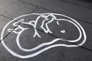 Fundacja Batorego: Wyrok TK ws. aborcji obarczony wadami prawnymi