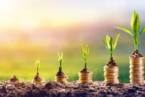 Rząd: W 2022 r. płaca minimalna - 3 tys. zł, stawka godzinowa - 19,60