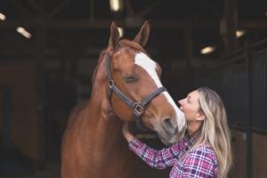 Sąd: Ubezpieczyciel nie odpowiada, jeśli konieczność uśpienia konia wynikała z nieszczęśliwego wypadku