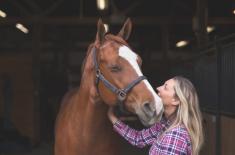Sąd: Ubezpieczyciel nie odpowiada, jeśli konieczność uśpienia konia wynikała z nieszczęśliwego wypadku
