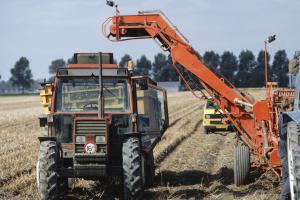Rząd chce wzmacniać rolnicze grupy producenckie