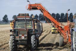 Rząd chce wzmacniać rolnicze grupy producenckie