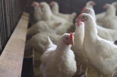 Rząd zapowiada ubezpieczenie od klęsk żywiołowych