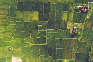 Rolnik już nie wypadnie z KRUS, gdy obejmie go powszechne ubezpieczenie