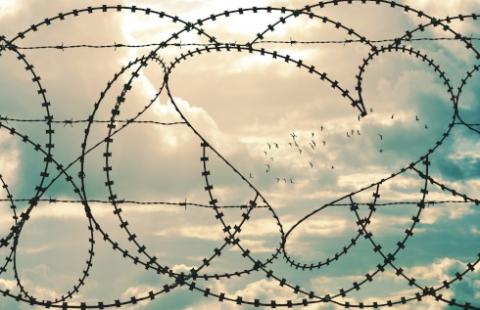 Mur na granicy bez uzgodnień i pozwoleń może być niebezpieczny dla ludzi i przyrody