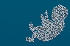 Rząd mocno oszczędza na programie 