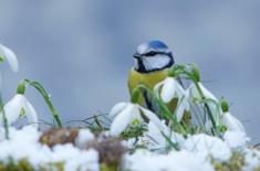 PIP doradza, jak organizować pracę w zimie