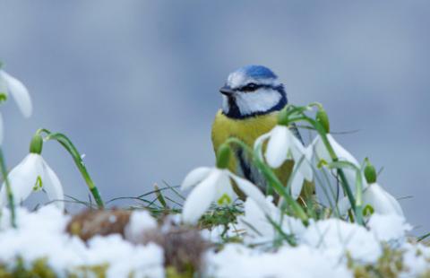 PIP doradza, jak organizować pracę w zimie
