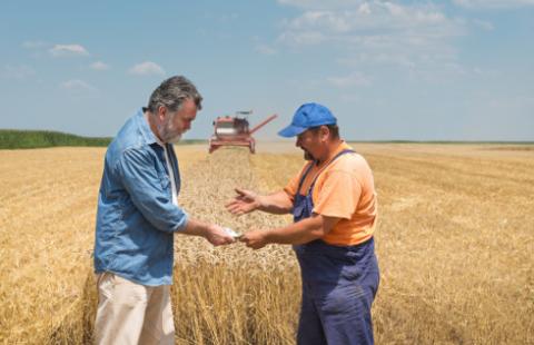 Senat za dodatkową dopłatą do płatności bezpośrednich