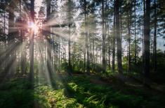 Polska dopiero w przyszłym roku uporządkuje obszary Natura 2000
