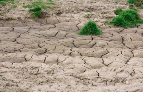 NIK: Słaby nadzór nad wykorzystaniem odpadów do rekultywacji gruntów