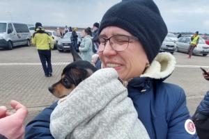 Także psy, koty i fretki przekraczają granicę z Ukrainą w uproszczonej procedurze