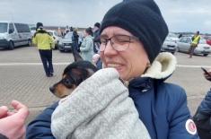 Także psy, koty i fretki przekraczają granicę z Ukrainą w uproszczonej procedurze