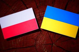 Nie będzie ułatwień w tworzeniu ukraińskich oddziałów - MEiN stawia na polską podstawę