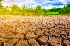 Rząd zabiega o upowszechnienie polis dla rolników