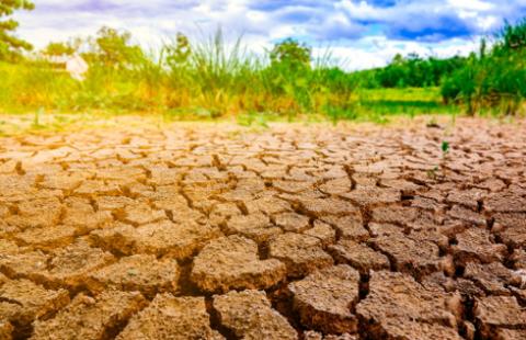 Rząd zabiega o upowszechnienie polis dla rolników