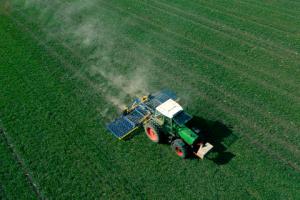 SN wyjaśni, czy gospodarstwo przekazane następcy trafia do majątku wspólnego