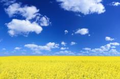 Studia polskie dla uchodźców z Ukrainy na Uniwersytecie Łódzkim