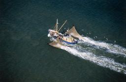 Jacht zarabia na morzach świata, a rozliczenie VAT w Polsce