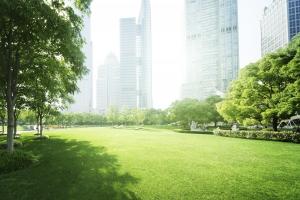 NIK: Tereny zielone w miastach bez ochrony przed zabudową