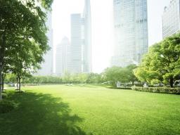 NIK: Tereny zielone w miastach bez ochrony przed zabudową