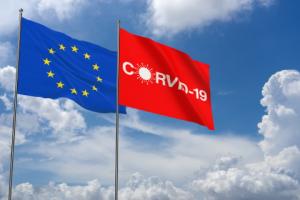 Kopacz i Karski zostali wiceszefami unijnej speckomisji do spraw pandemii Covid-19