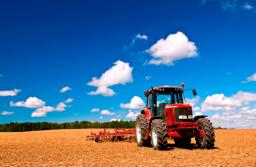 Firma skupująca zboże ukarana za wykorzystywanie przewagi wobec rolników