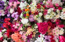 UOKiK: Poczta Kwiatowa ma dostarczyć bukiet na Dzień Matki, nie później