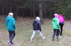 Po Chrust Plus tylko za zgodą leśniczego