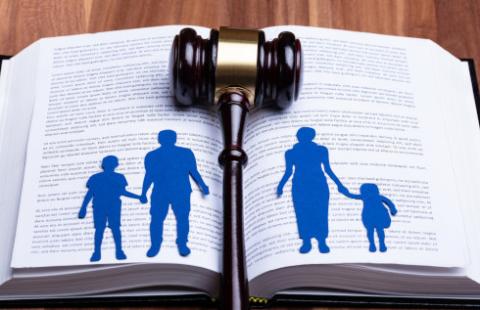 Trybunał otwiera bramy piekieł, czy chroni dobro dziecka - prawnicy podzieleni